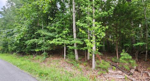 LOT 1 Truman Hill Rd.