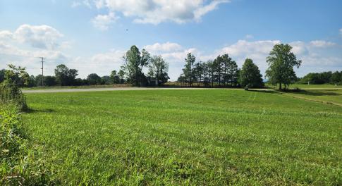 Lot 1A pic