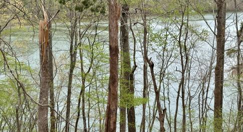 IMG_2831