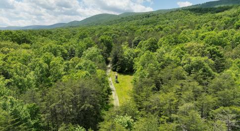 DJI_20260528131548_0003_V