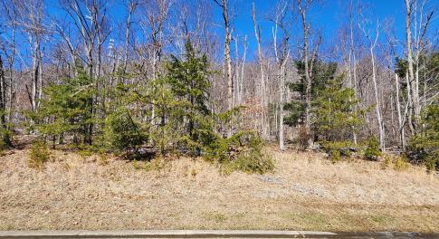 Lot 19 Summit Dr.