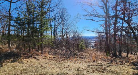 Lot 46 Summit Dr.