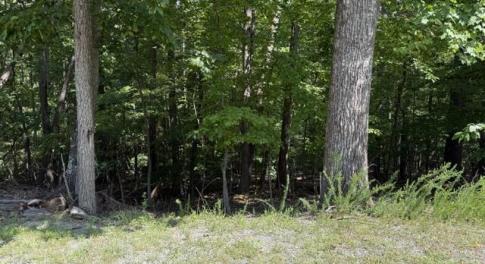 Lot 21 Fields Ave.
