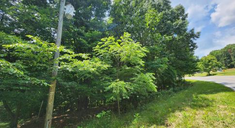 Diamond Hill Rd
