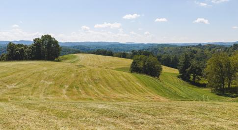 DJI_20260903132648_0932_D