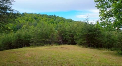 Lot 1 Bear Ln.