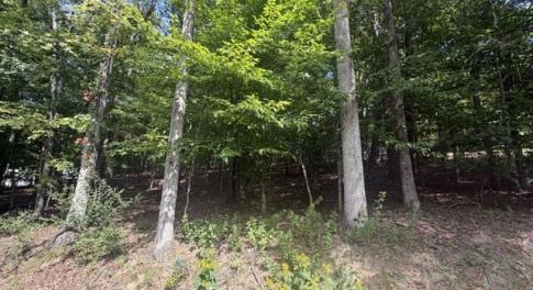 1 Acre Lot