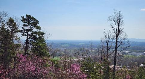 Lot 44 summit