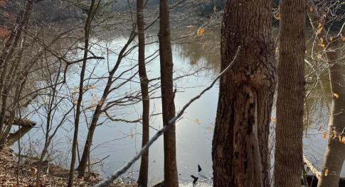 Lot 26 Poplar Dr.