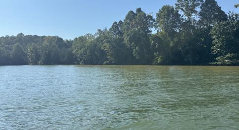poplar point shoreline
