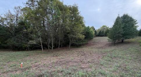 Lot 4