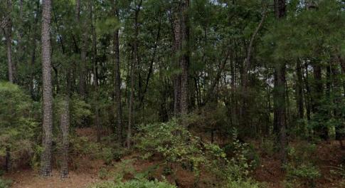 Bradleyville