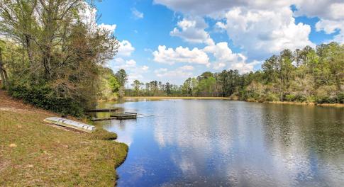 Pond View