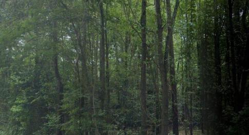 woodberry side pic