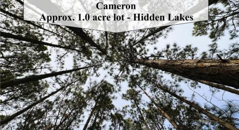 1 acre Wooded Homesite - Canopy View