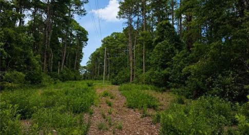 easement