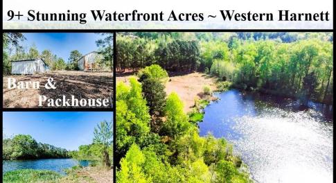 9+ Waterfront Acres