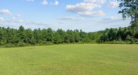 Cleared area in center of 13 acres