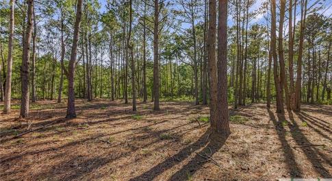 Lot 65 Telfair Plantation