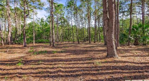 Lot 66 Telfair Plantation