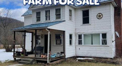 Farm For Sale