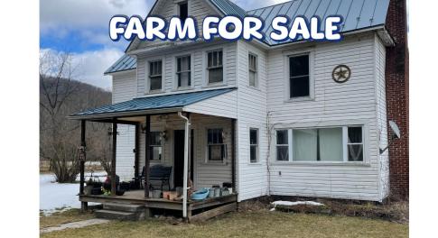 Farm For Sale