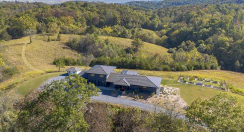 Redbud Hill