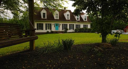 Main View
