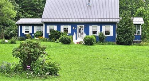 Main View