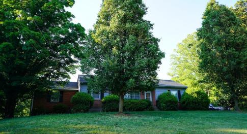 Main View