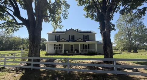 Main View