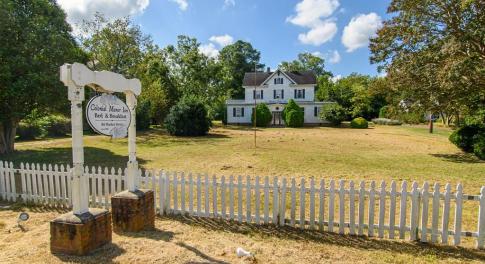 Main View