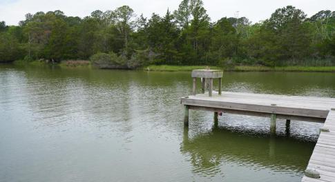 Main View