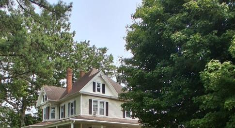 Main View